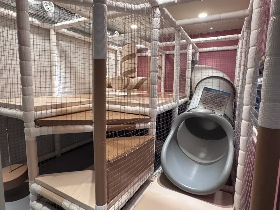 Kids' play area inside the restaurant