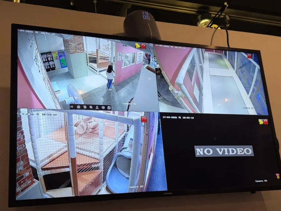 Camera screen showing the play area