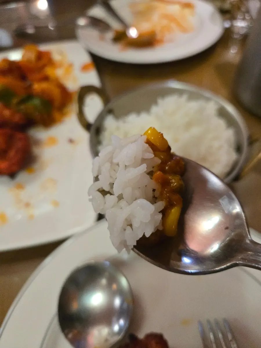 진한 커리 한 그릇