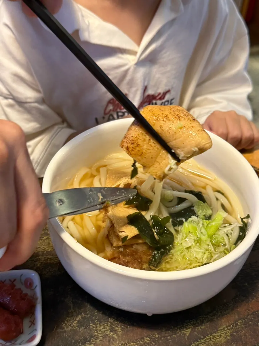 Fried tofu udon with chewy noodles