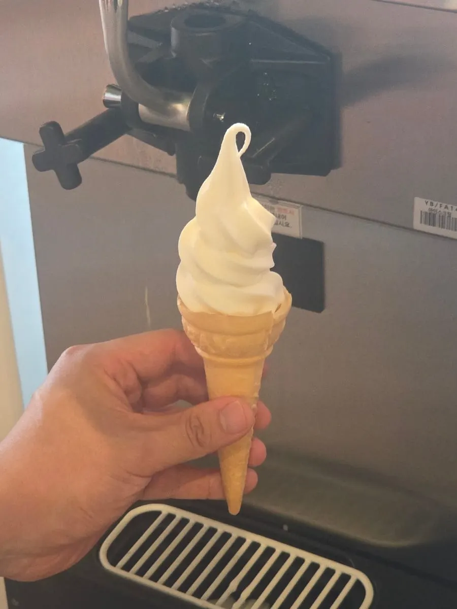 Soft-serve ice cream to finish the meal
