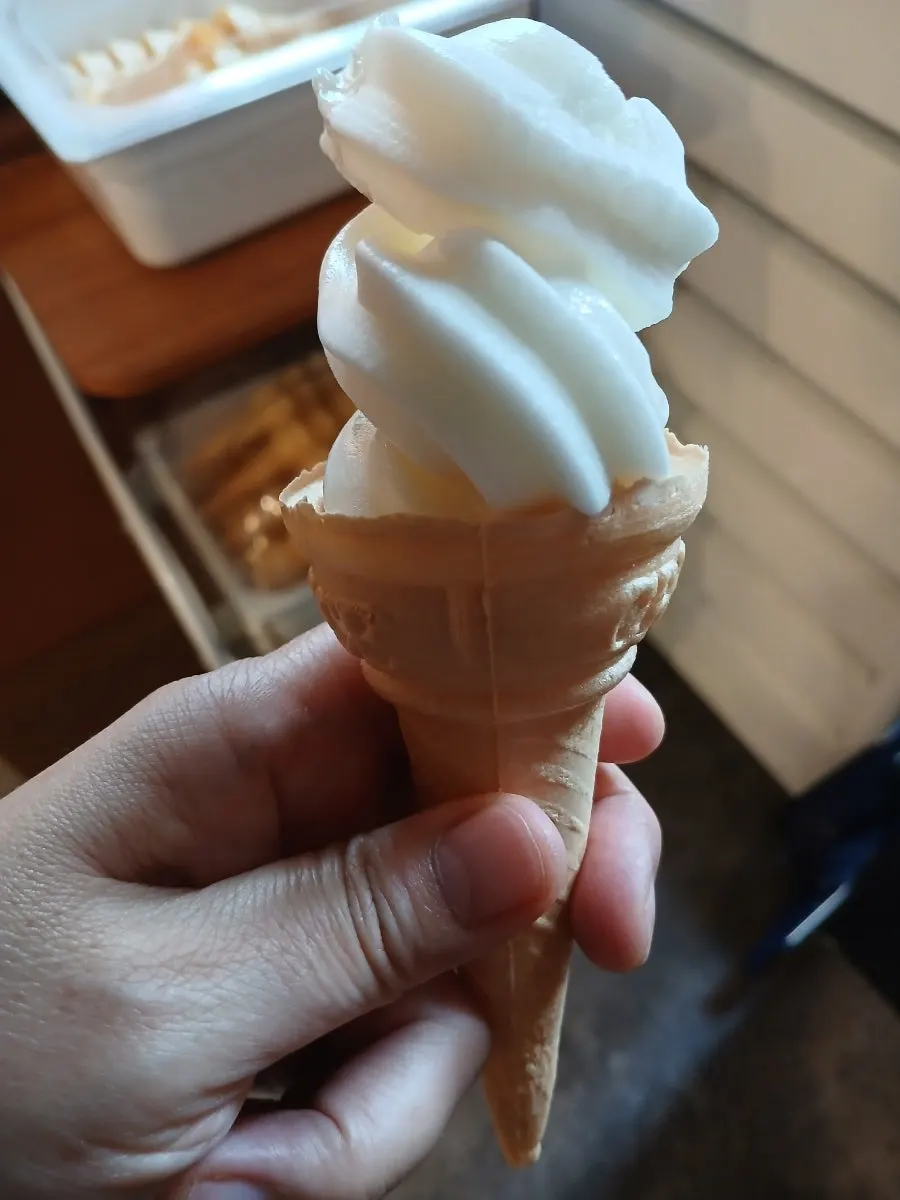 부드러운 우유 맛 콘 아이스크림