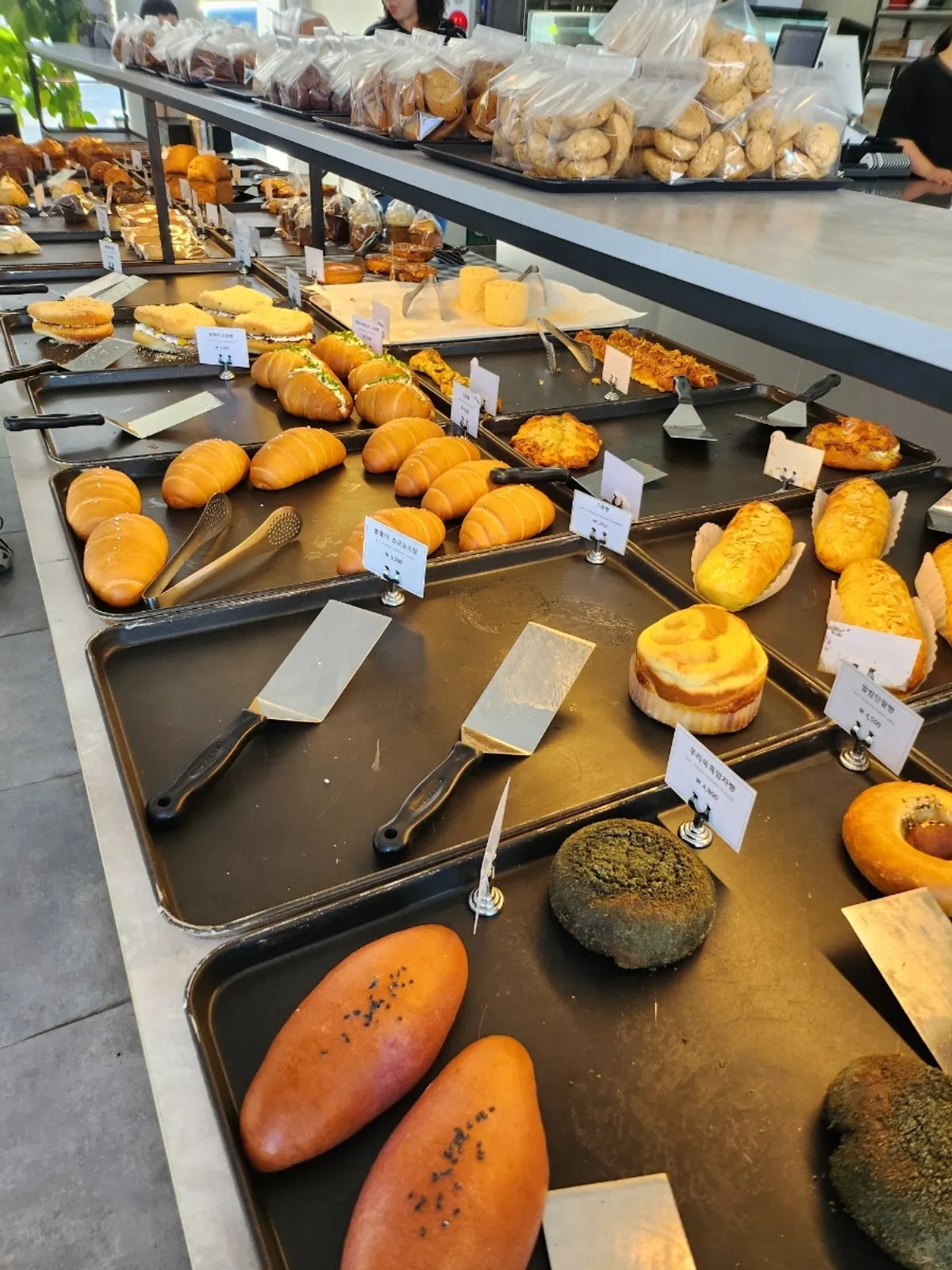 Bakery display case inside the main building