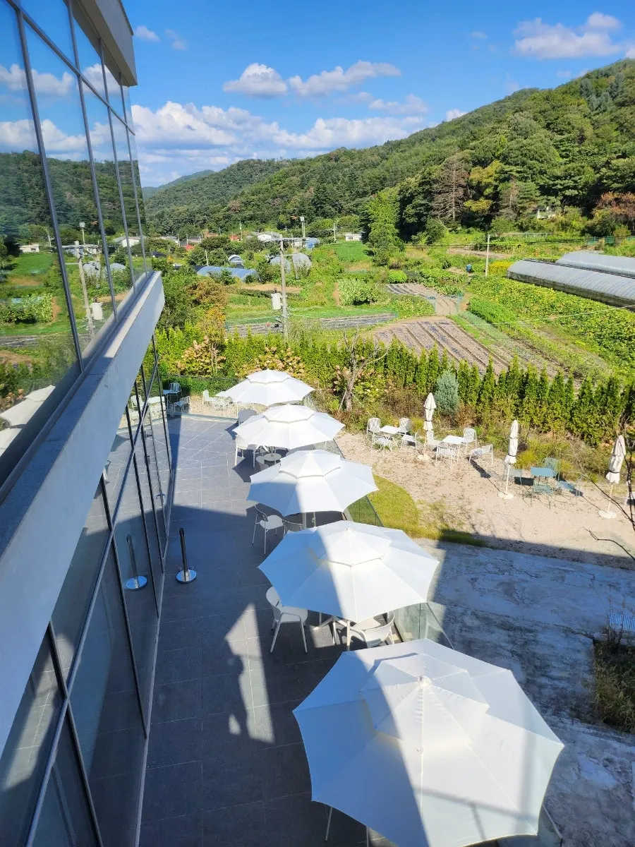 Tables on café Sum's outdoor terrace