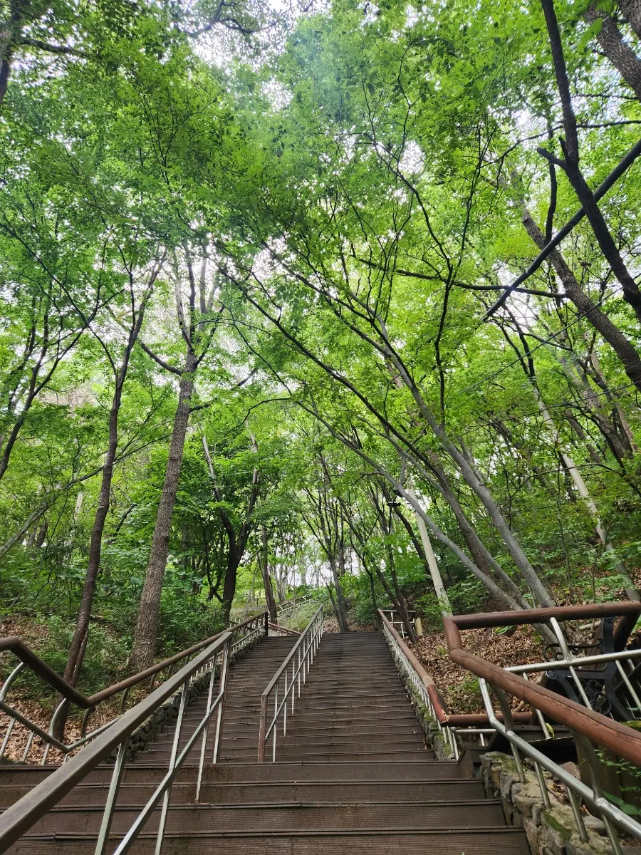 First photo from the visit to Sum near Namhansanseong
