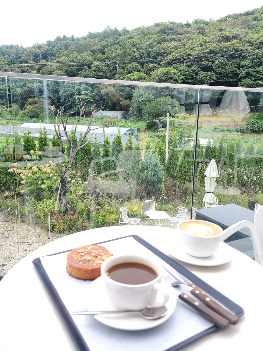 A cup of tea enjoyed with a mountain view