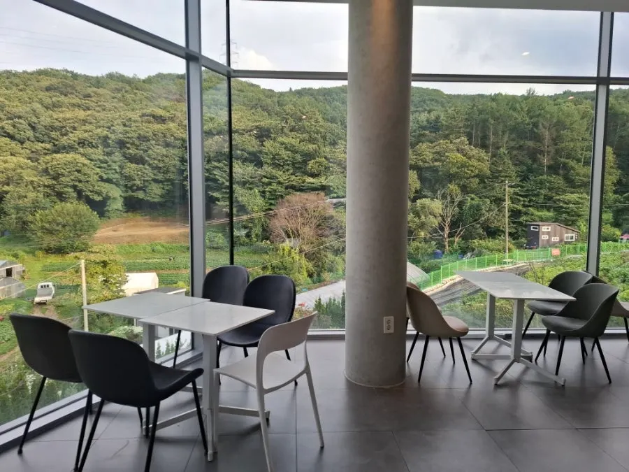 카페 숨 본관 2층에서 바라본 산과 나무