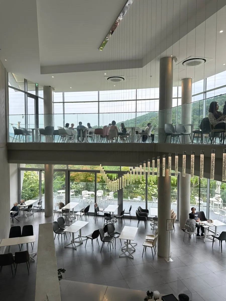 Sum café surrounded by forest