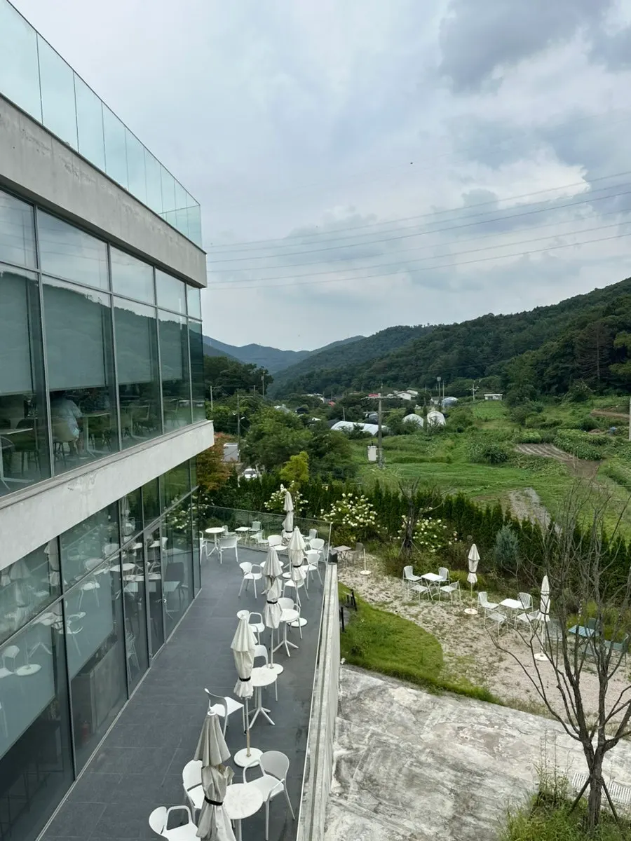 Forest view through floor-to-ceiling windows going from the 1st to 2nd floor