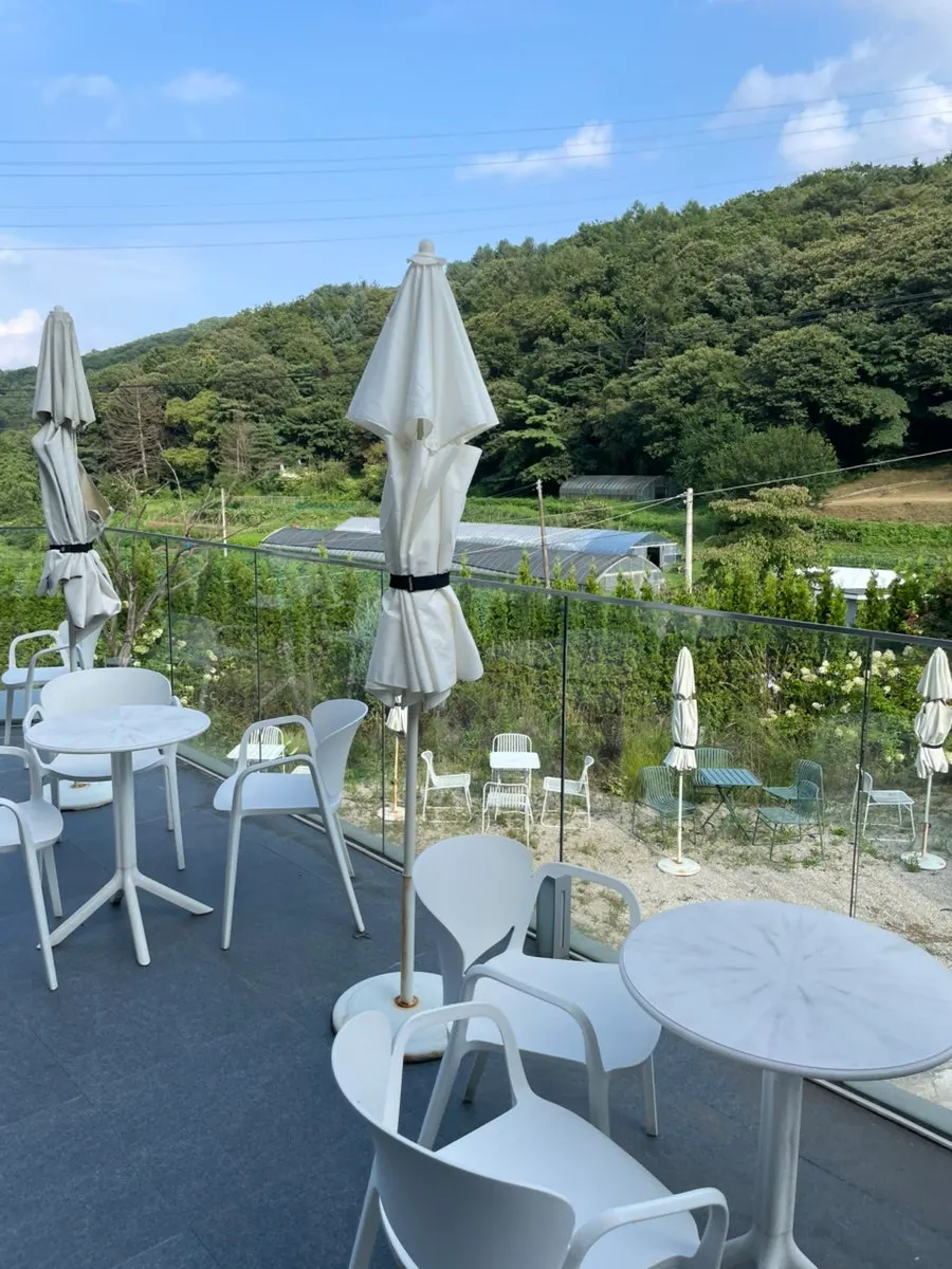 카페 숨 본관 1층 야외 좌석