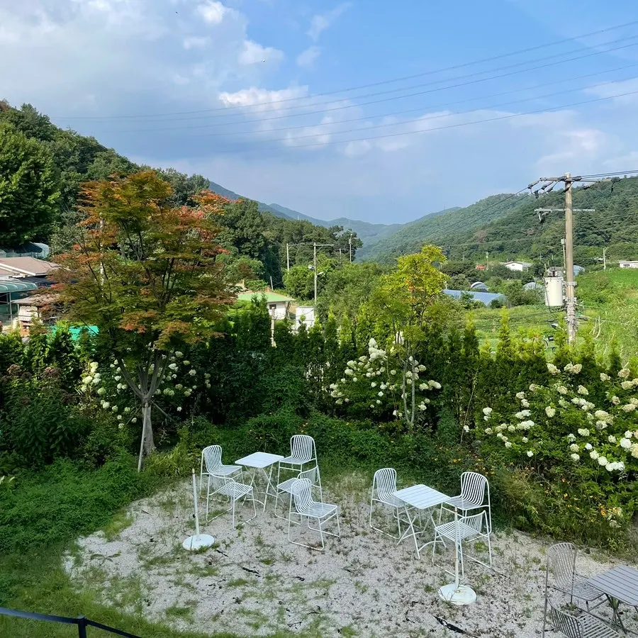 카페 숨 정원에 남아 있는 수국
