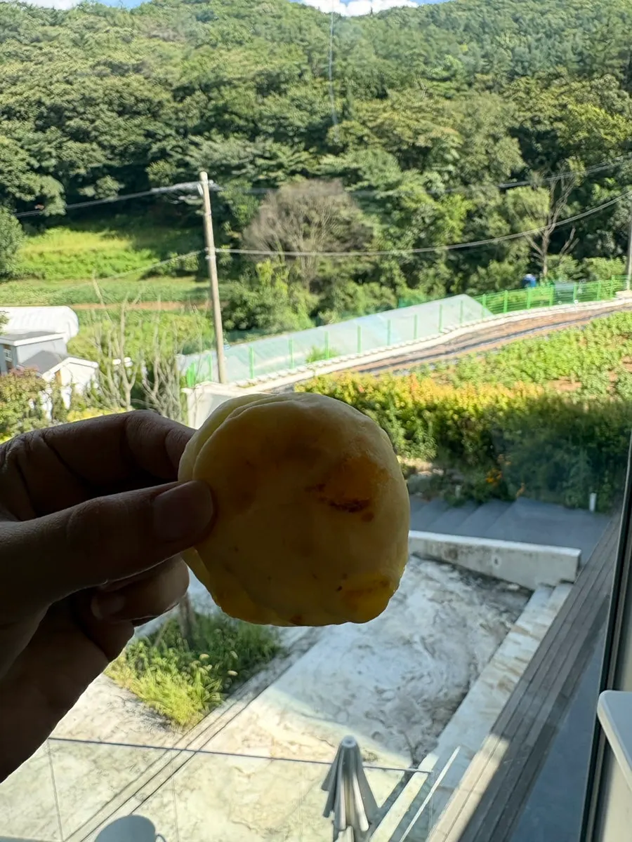 고소한 맛의 원픽 빵