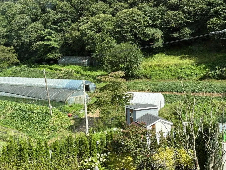 빵과 음료가 놓인 테이블