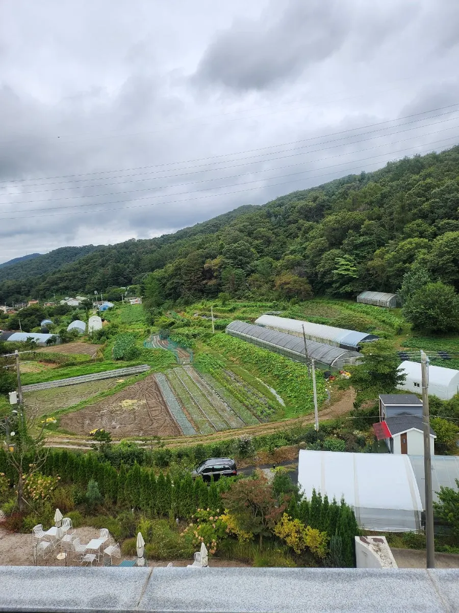 Mountain and rice paddy views seen through Sum's floor-to-ceiling windows