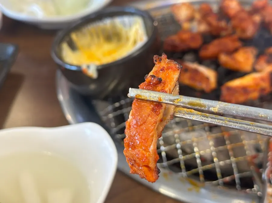 다 익은 양념구이 닭갈비 클로즈업
