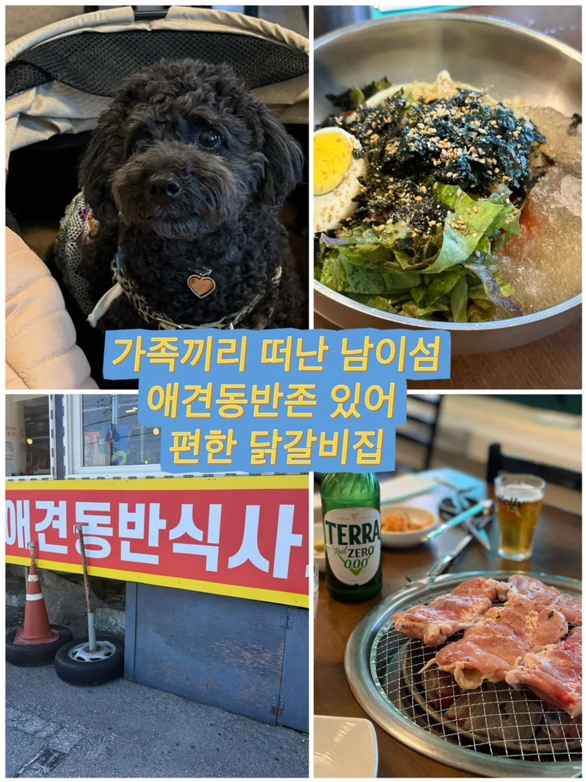 A dog-friendly meal at Anbanji Dakgalbi near Nami Island, Gapyeong