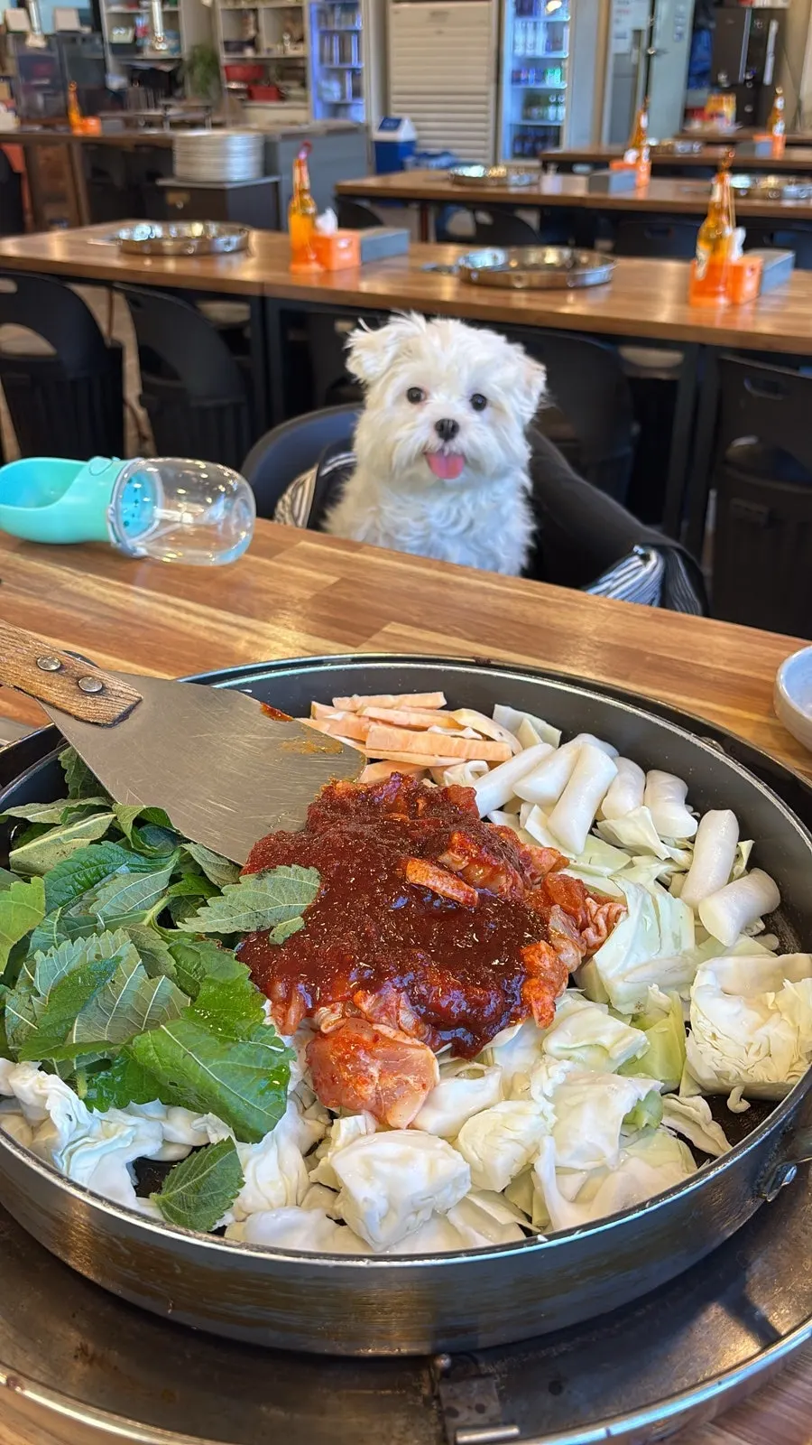 철판에 올려진 자연닭갈비 2인분