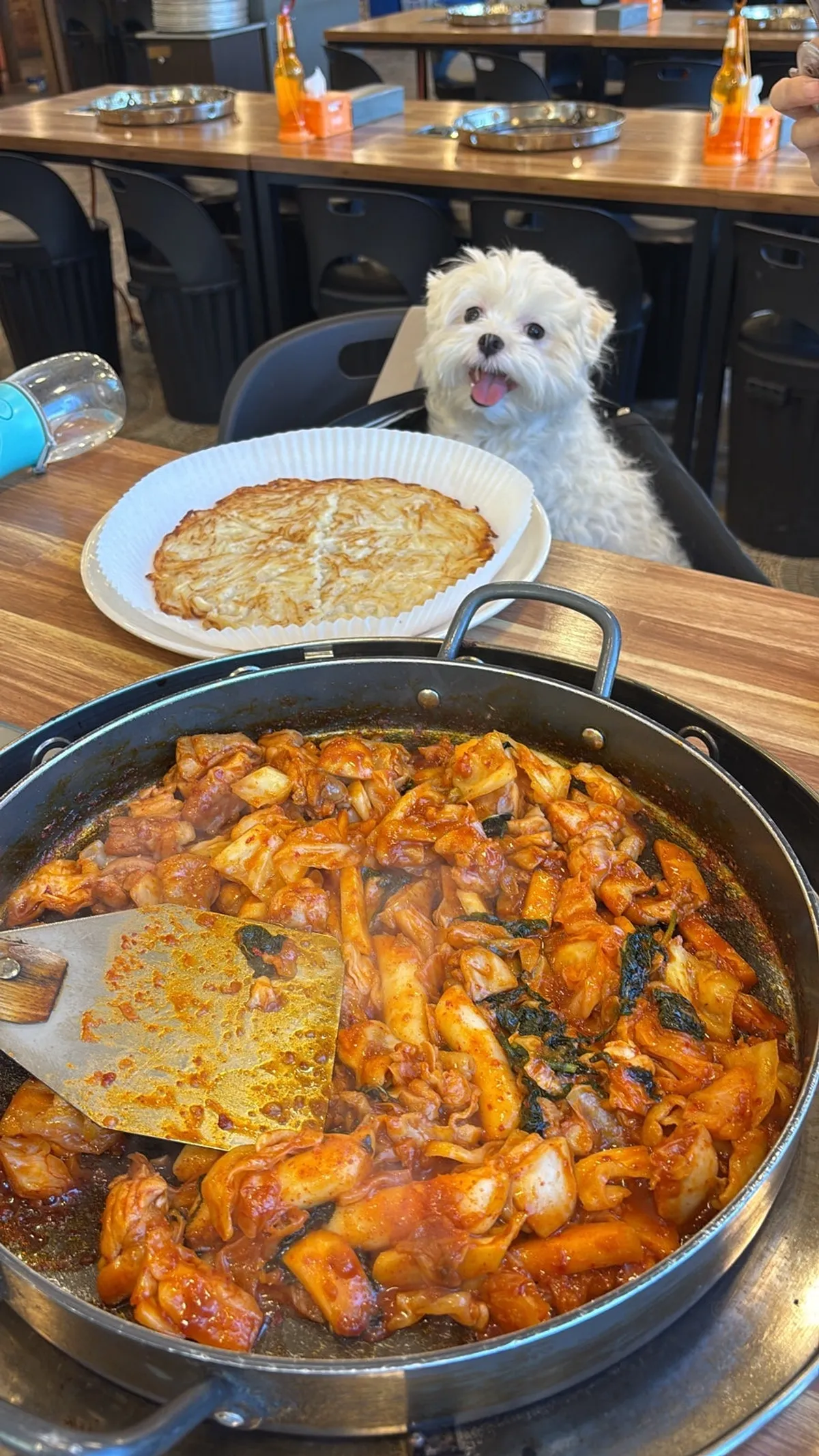 겉바속촉 자연닭갈비 감자부침 한 판