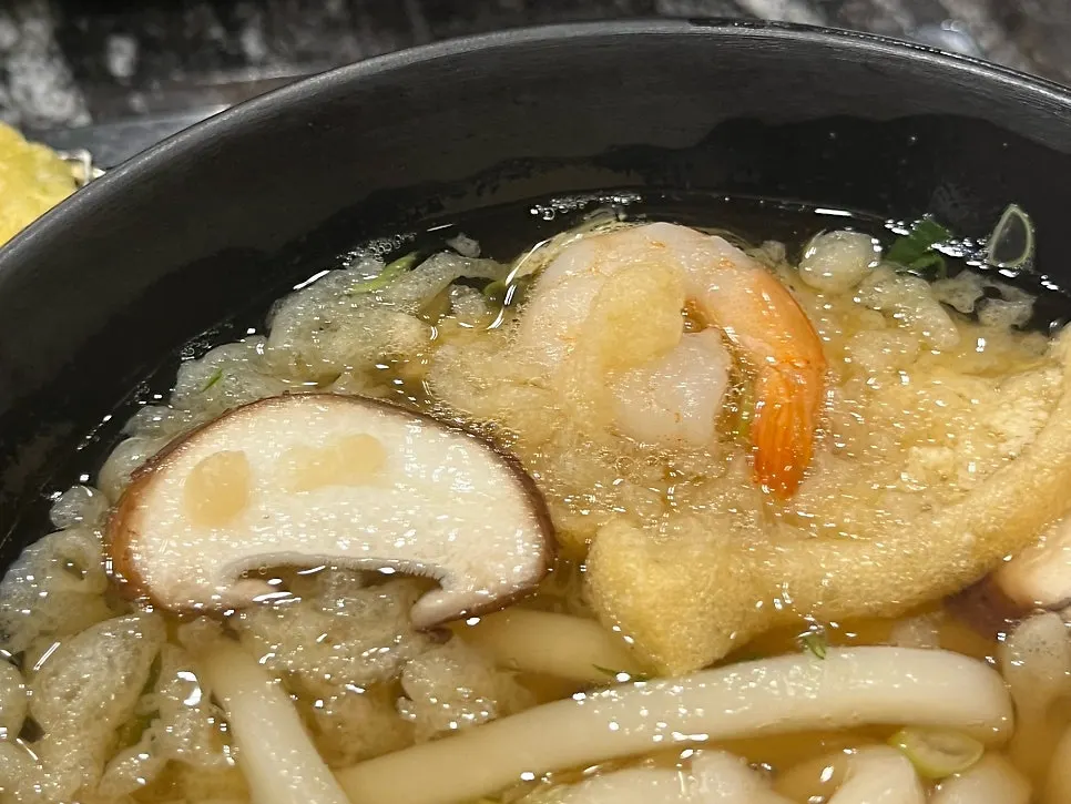Udon with springy noodles
