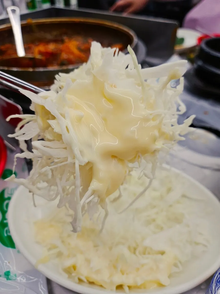 Spring cabbage salad, soft tofu and other basic side dishes