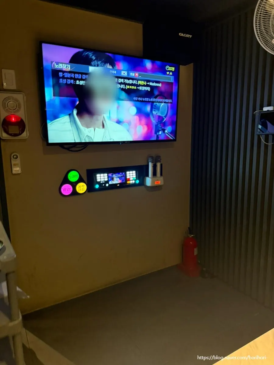 Karaoke machine and screen inside the room