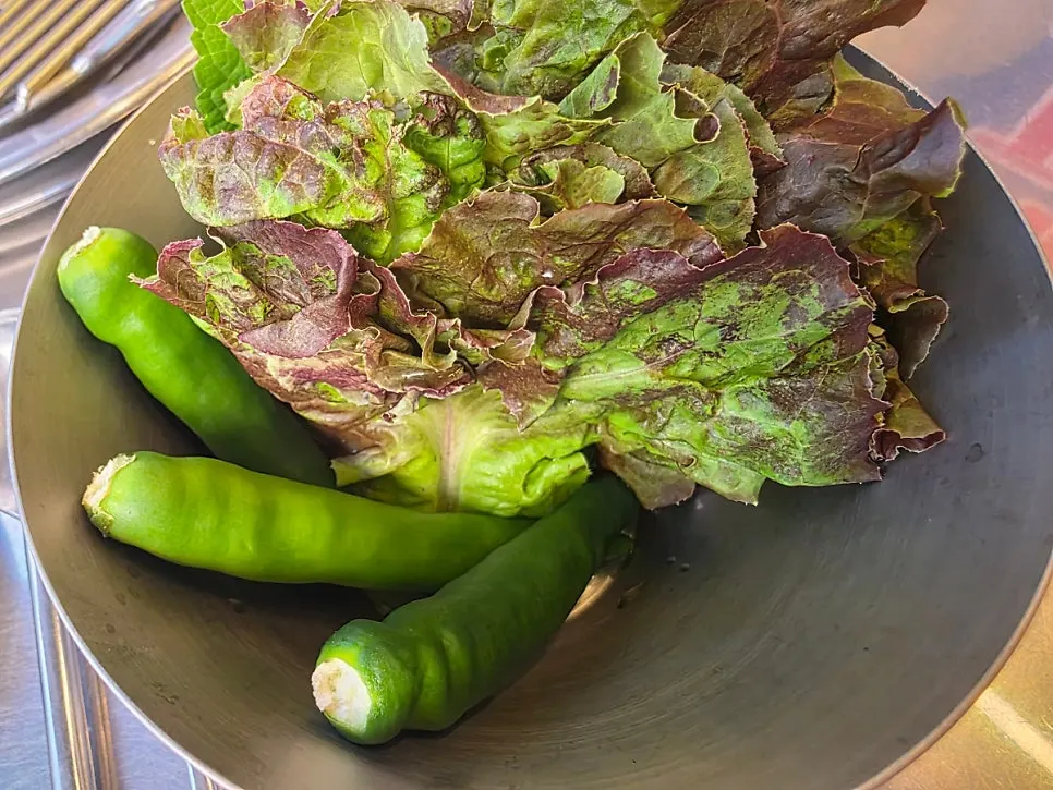 Lettuce and chili peppers for wrapping