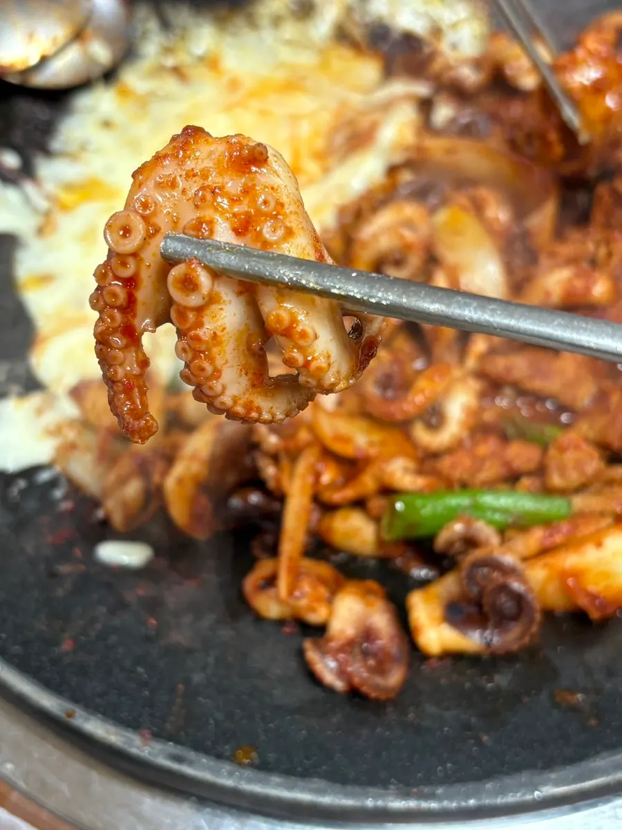Close-up of well-seasoned octopus