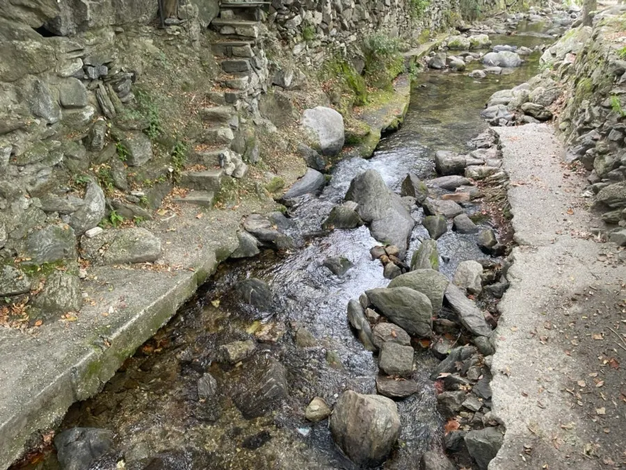 Feet dipped in the creek after the meal