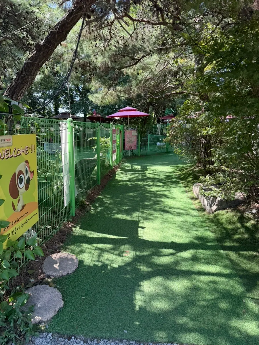 Visit photo of Gaeddae Playground dog café in Byeollae, Namyangju