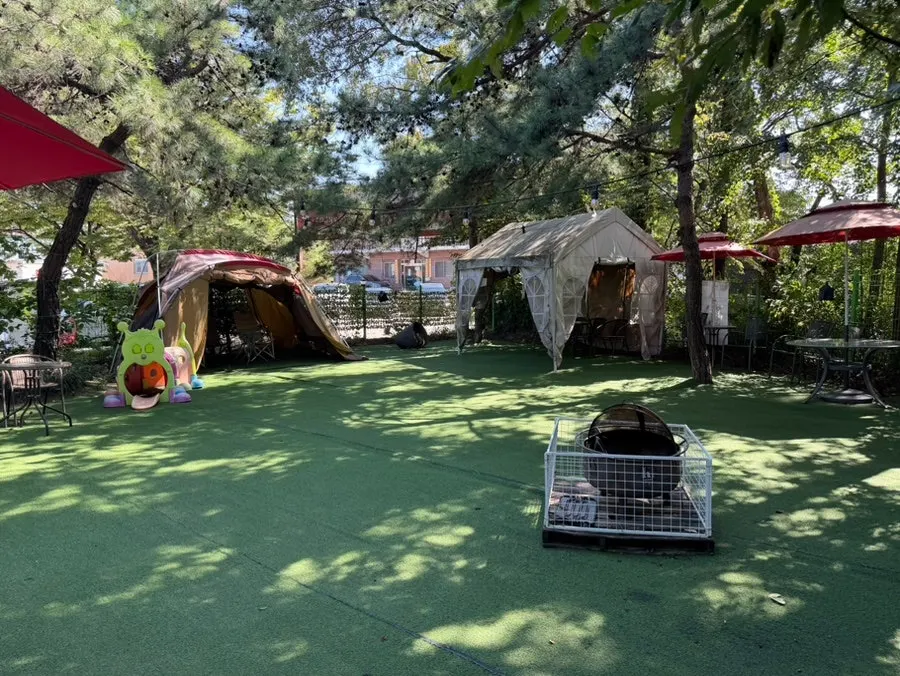 Seating area for owners at Gaeddae Playground