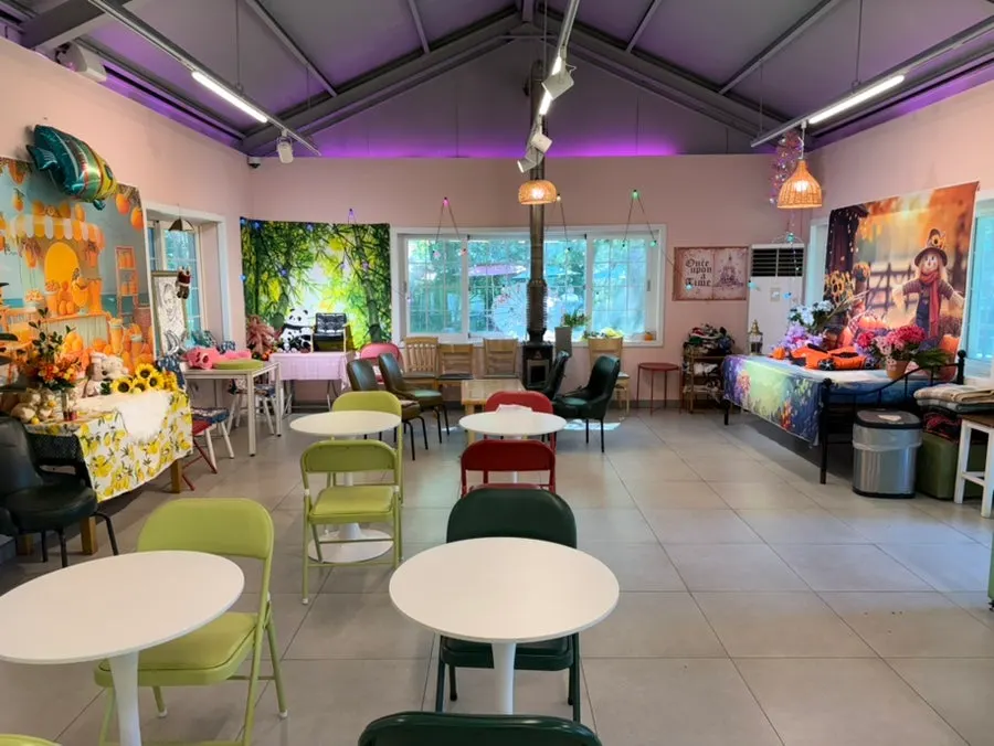 View of the play area at Gaeddae Playground dog café in Namyangju