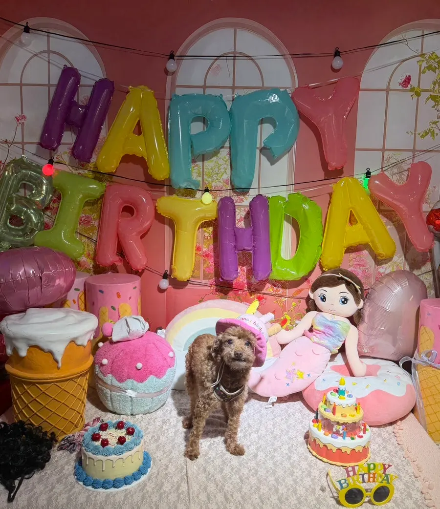 A dog getting its photo taken at the photo zone