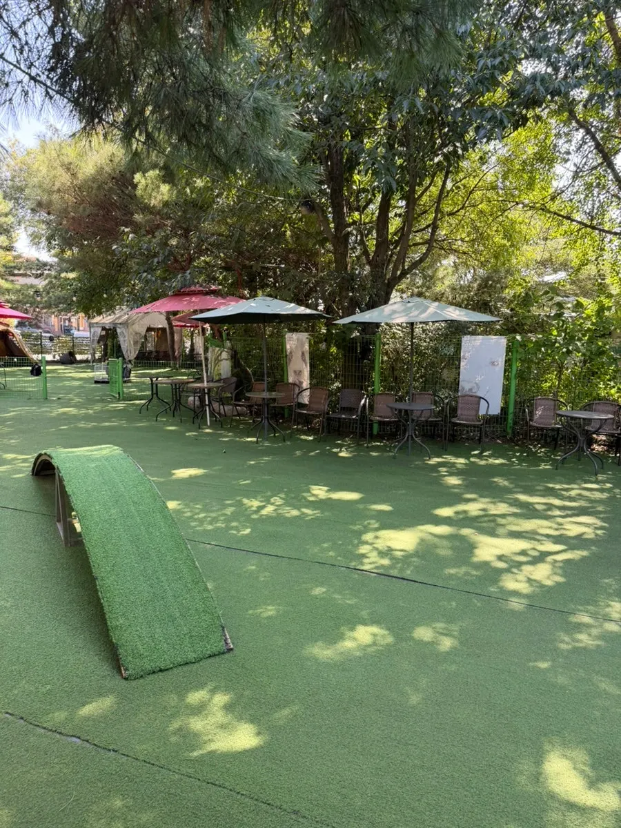 View of the space at Gaeddae Playground