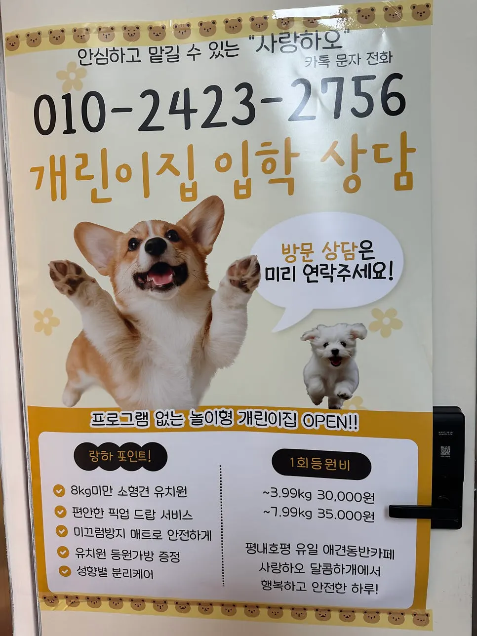 Indoor space that also functions as a dog daycare