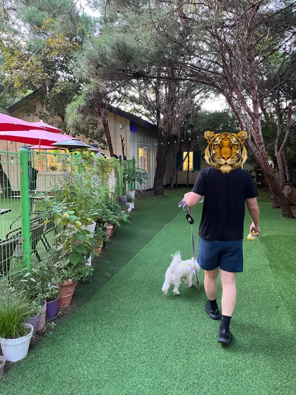 Dog visiting Gaeddae Playground in Namyangju