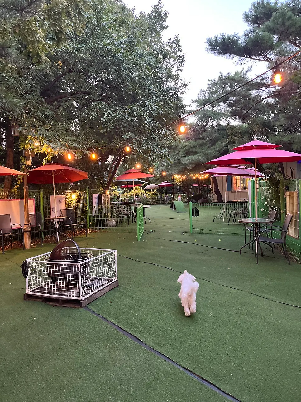 View of the Namyangju dog-friendly restaurant visited after work