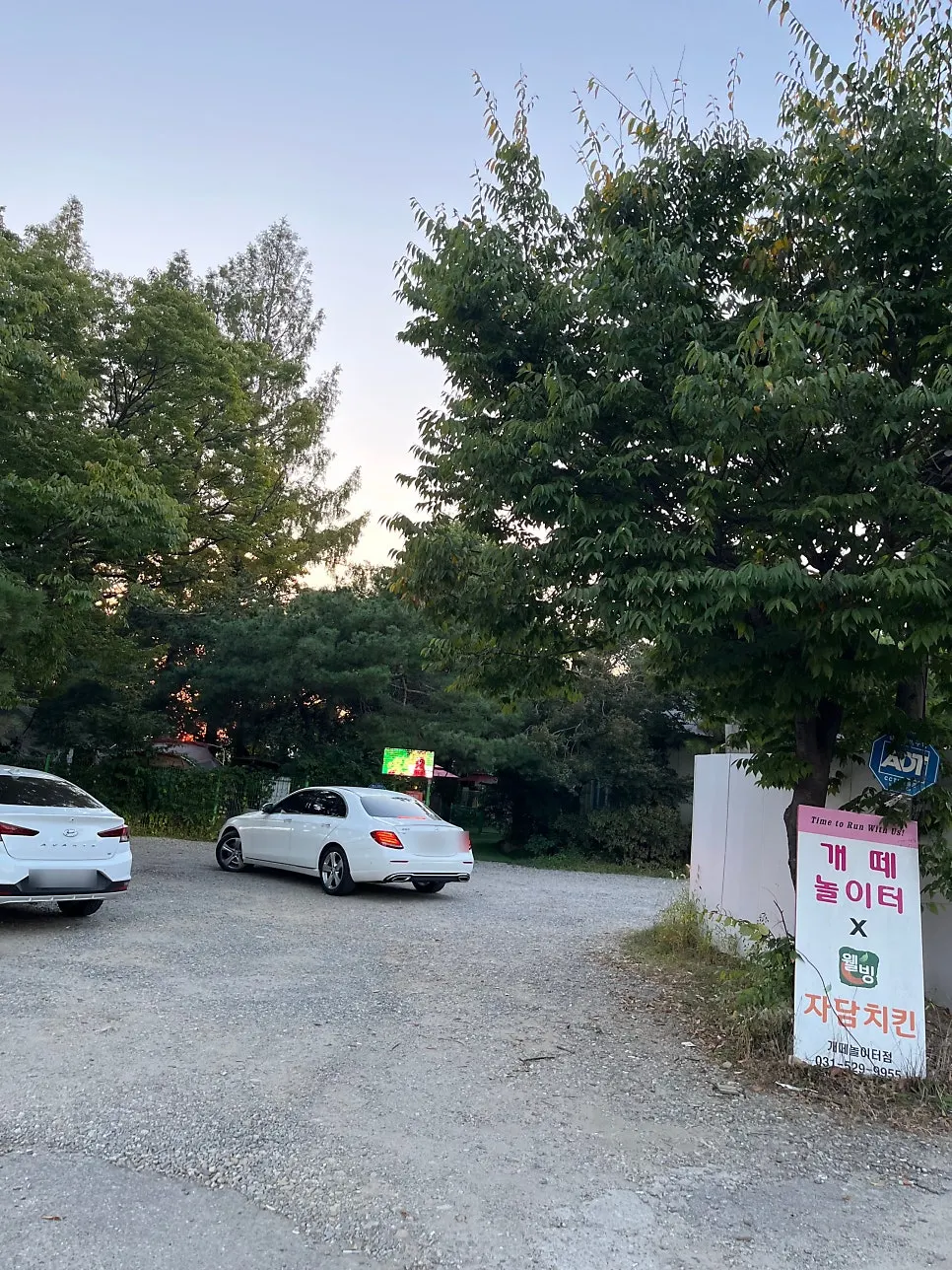 Parking space in front of the dog park fence and artificial turf entrance