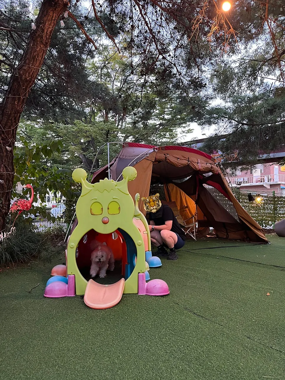 Wide artificial turf dog park