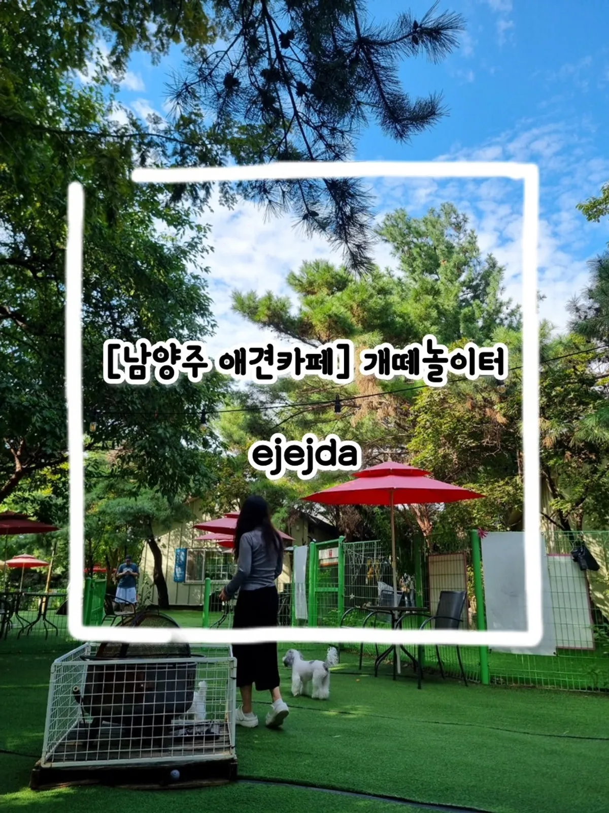 Overall view of the Gaeddae Playground dog playground in Namyangju