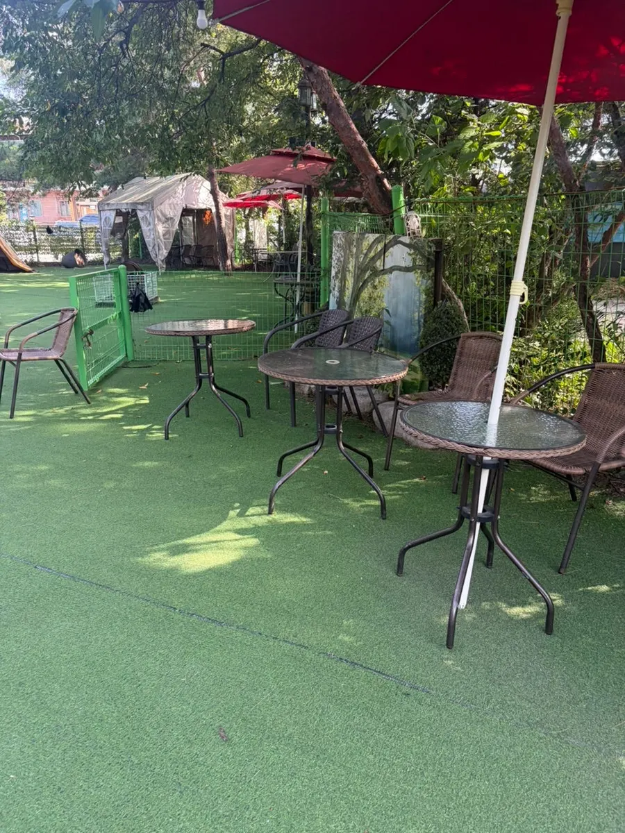 View of the green outdoor field