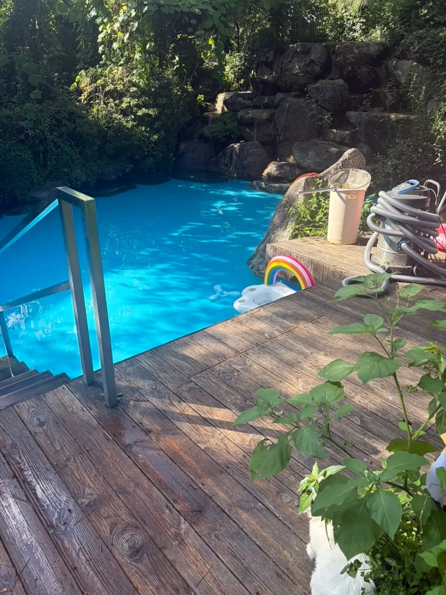 Dog pool and self-wash station at Gaeddae Playground