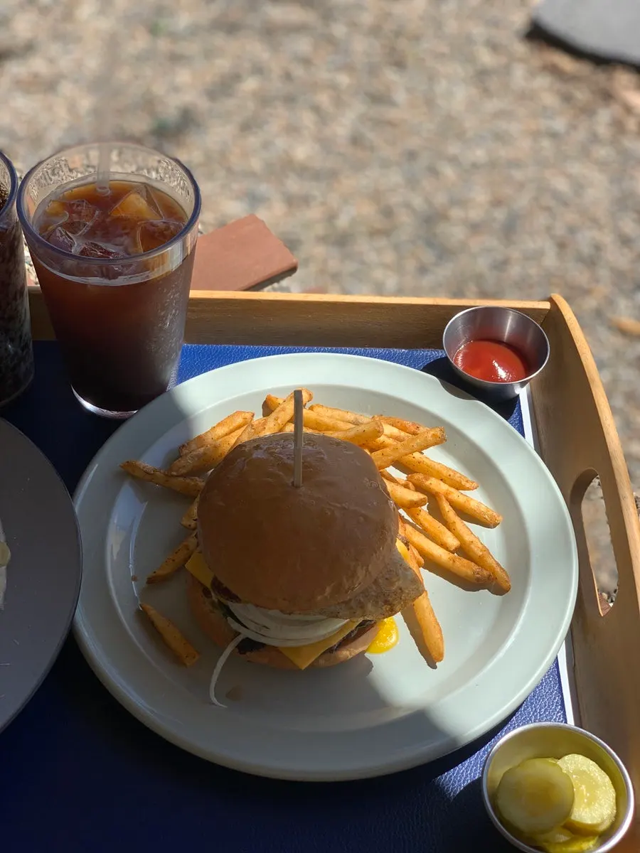 A plate of Mountain Burger served with fries