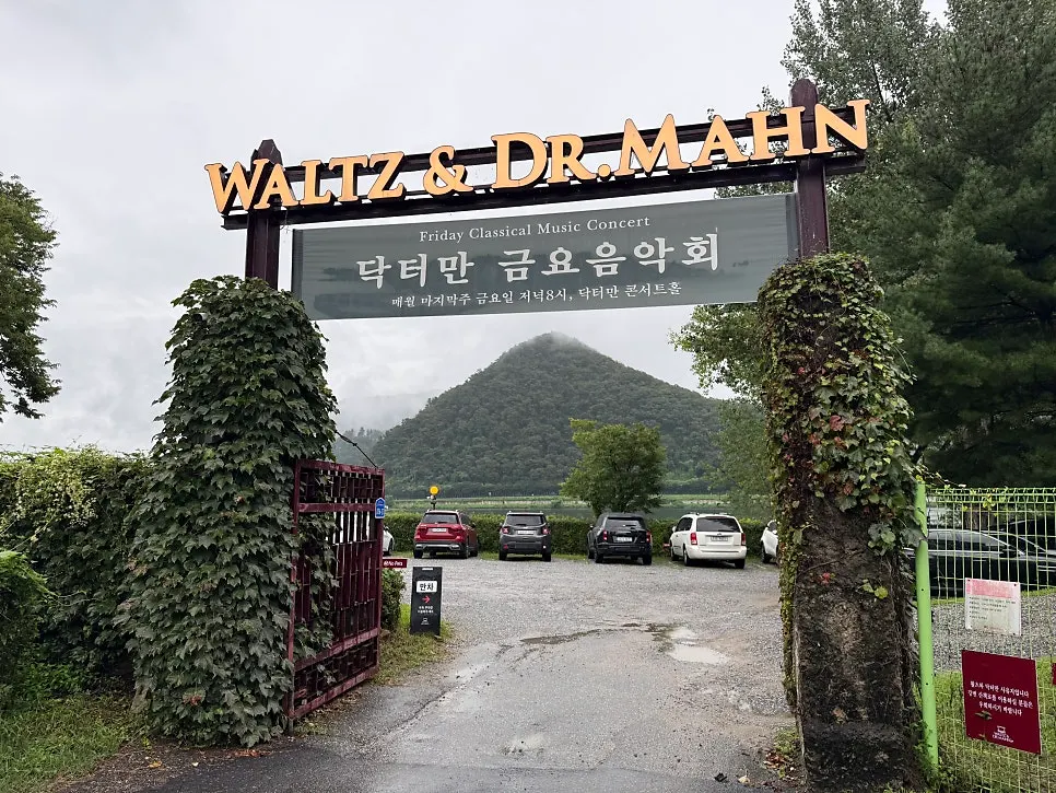 평일 드라이브로 찾은 남양주 강변 카페 풍경