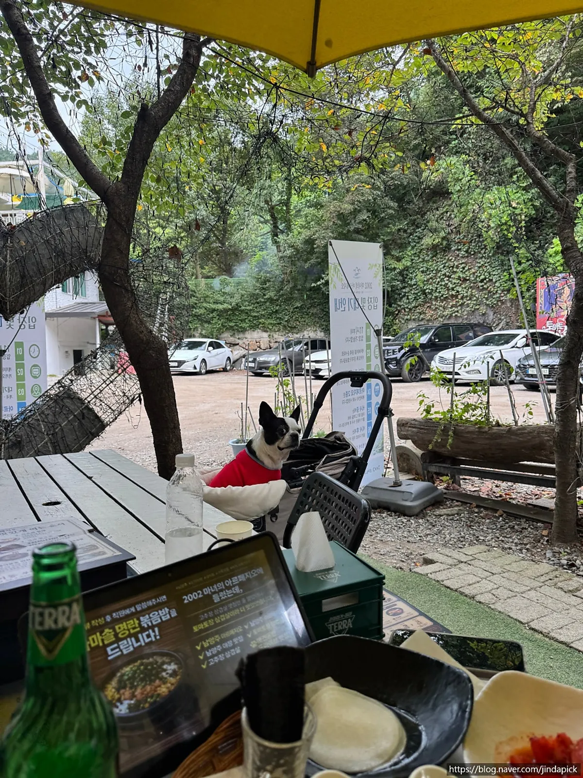 Outdoor seats with yellow parasols lined up above the creek