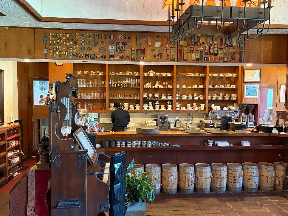Calm café interior with gentle lighting