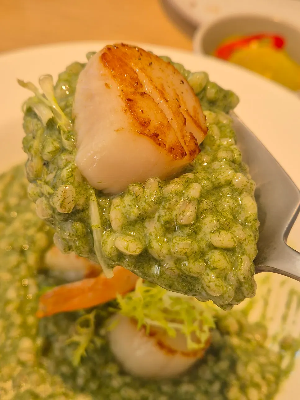 Seaweed risotto with scallops