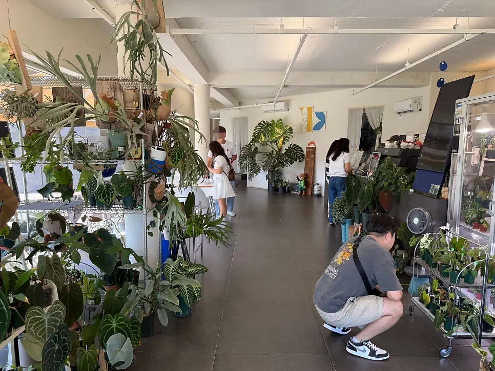 Café interior entrance decorated with plants