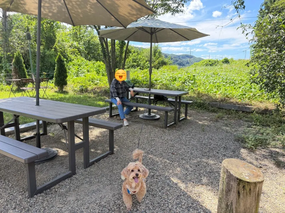 Dog Cookie on the gravel path and grass