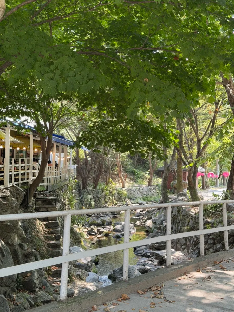 식사를 마친 테이블 풍경