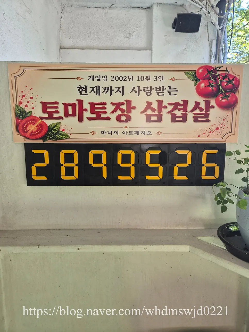 남양주 와부읍 2002 마녀의 아르페지오 매장 외관